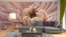 Woonkamer fotobehang Close-up roze chrysant_320397882_ds